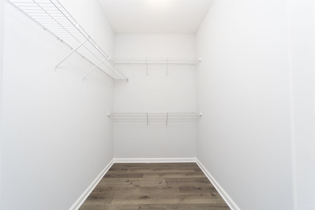 spacious closet with dark wood-type flooring