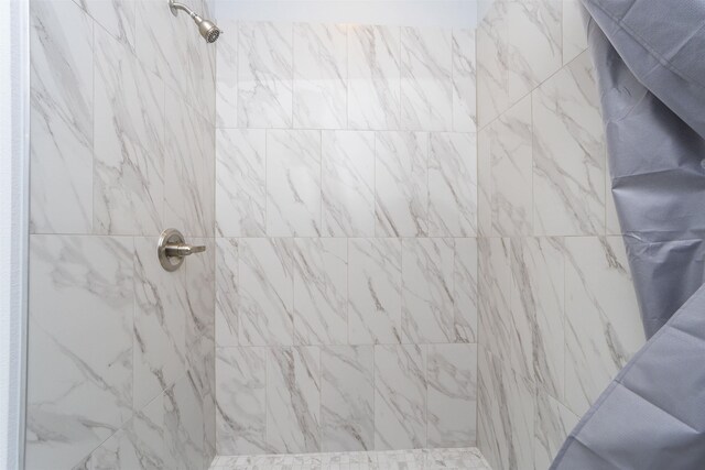 679 Coral Cir, Saint Augustine, FL 32080 - bathroom view of a tile shower