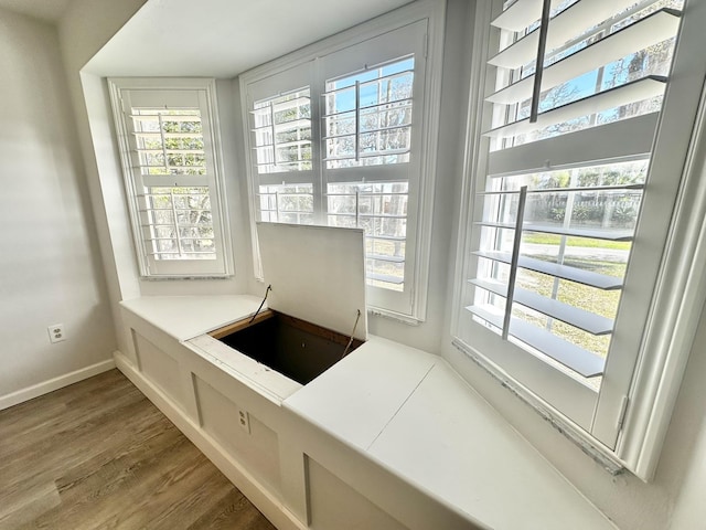 interior details featuring baseboards and wood finished floors