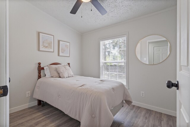 71 Chapin St, Saint Augustine, FL 32084 - photo 13