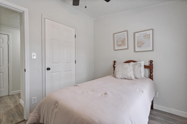 71 Chapin St, Saint Augustine, FL 32084 - photo 14