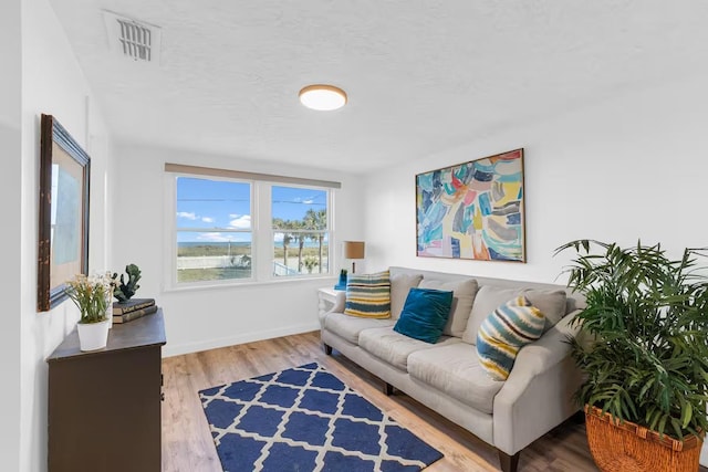 living room featuring hardwood / wood-style flooring