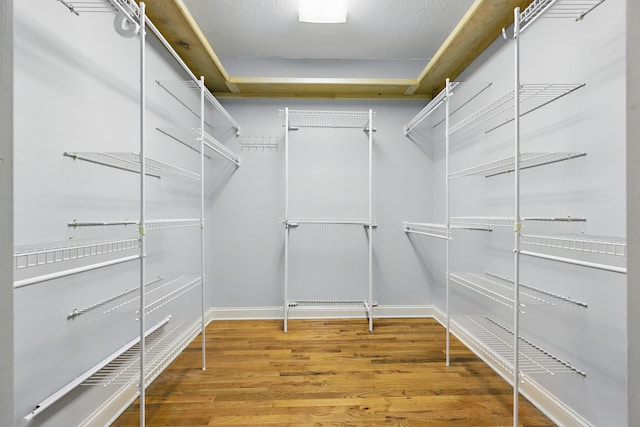 spacious closet featuring wood finished floors