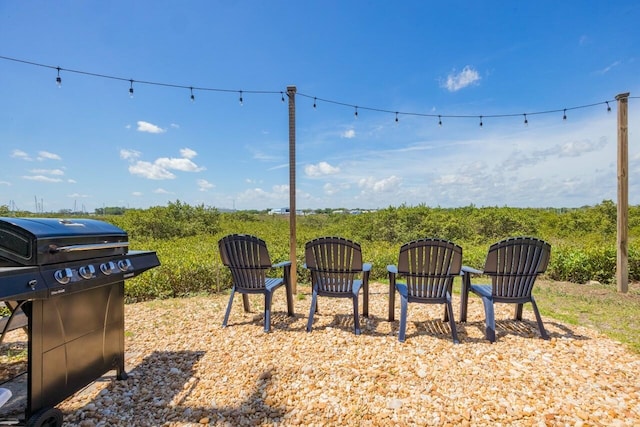 232 Riberia St, Saint Augustine, FL 32084 - view of yard