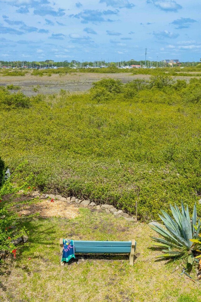 232 Riberia St, Saint Augustine, FL 32084 - view of yard