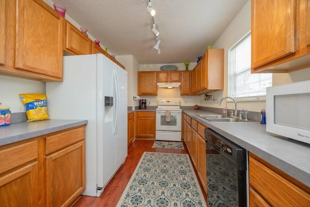 232 Riberia St, Saint Augustine, FL 32084 - kitchen featuring a sink, white appliances, dark wood-type flooring, track lighting, and under cabinet range hood