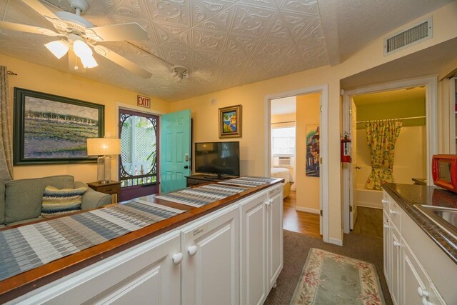 232 Riberia St, Saint Augustine, FL 32084 - bedroom with an ornate ceiling, dark carpet, visible vents, and multiple windows