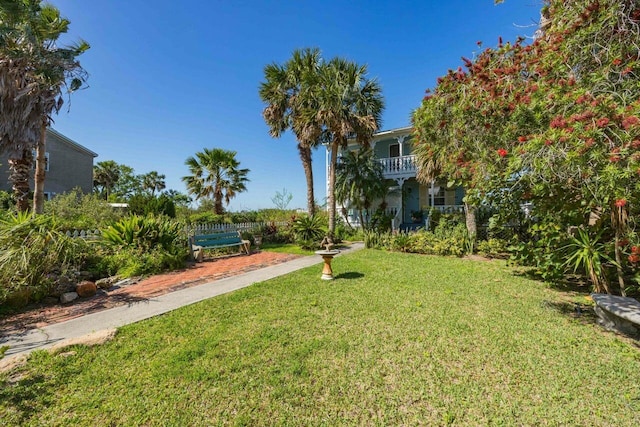 232 Riberia St, Saint Augustine, FL 32084 - view of yard