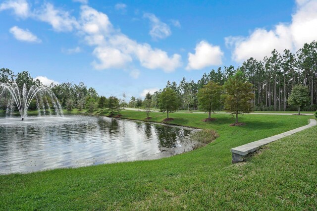 153 Savanna Preserve Ct, Saint Augustine, FL 32095 - photo 56