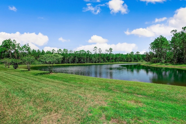 153 Savanna Preserve Ct, Saint Augustine, FL 32095 - photo 67