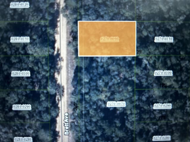 000 Brett Ave, Interlachen FL, 32148 land for sale