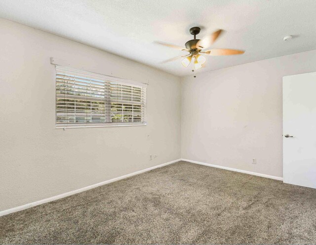 10403 Ebbitt Rd, Jacksonville, FL 32246 - photo 12