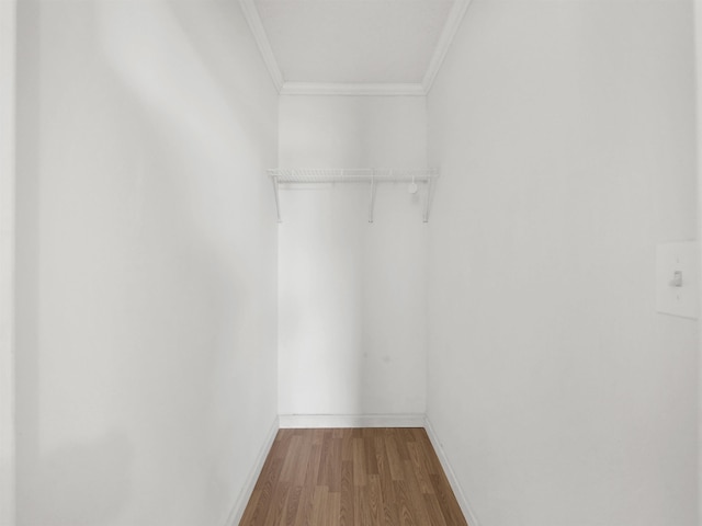 50 Spring St, Saint Augustine, FL 32084 - spacious closet with wood finished floors