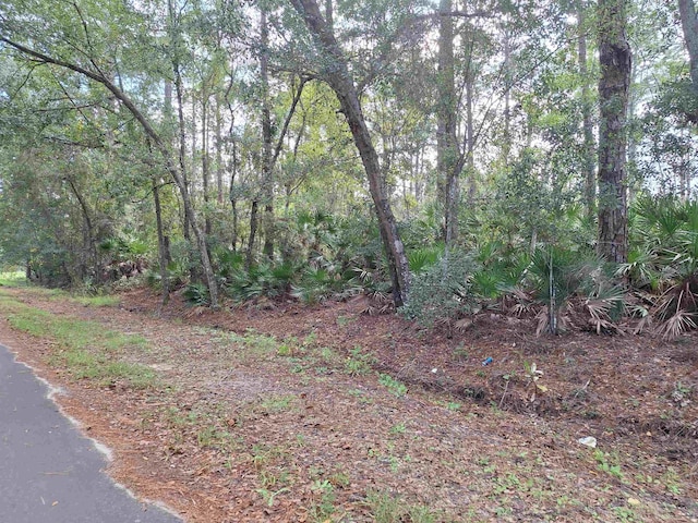 201 Pineway W Ave, Satsuma, FL 32189 - photo 2
