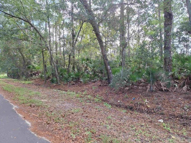 201 Pineway W Ave, Satsuma, FL 32189 - photo 6