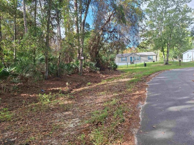 201 Pineway W Ave, Satsuma, FL 32189 - photo 4