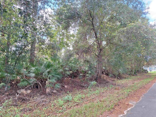 201 Pineway W Ave, Satsuma, FL 32189 - photo 3