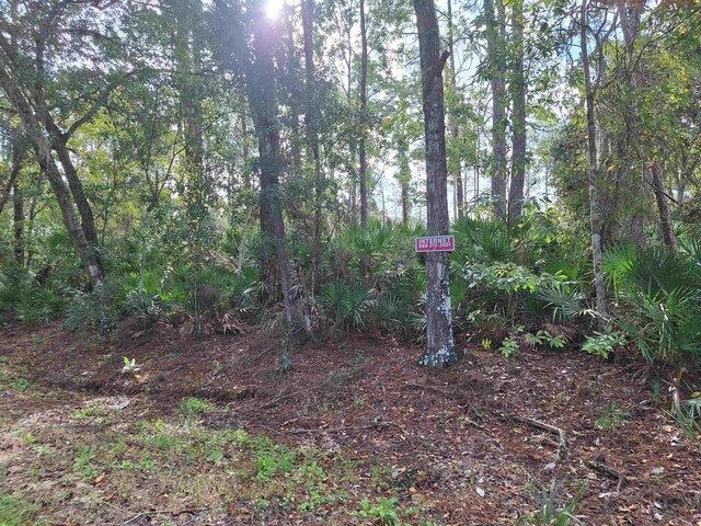 201 Pineway W Ave, Satsuma, FL 32189 - photo 5