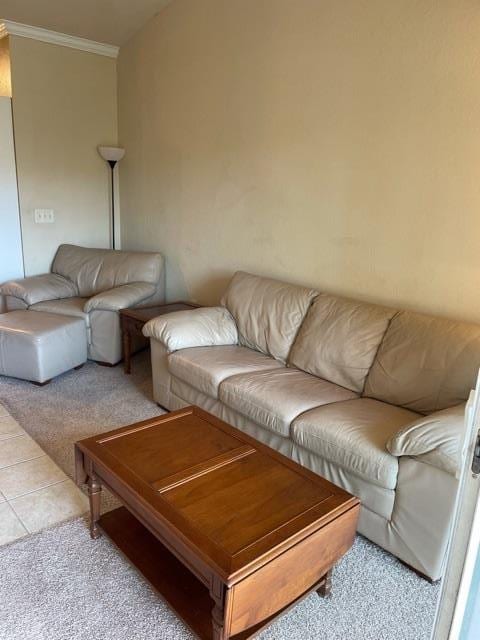 225 Old Village Center Cir Unit 4307, Saint Augustine, FL 32086 - carpeted living area featuring ornamental molding