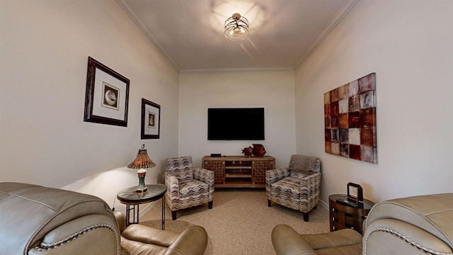 living room with carpet floors, ornamental molding, and a textured ceiling