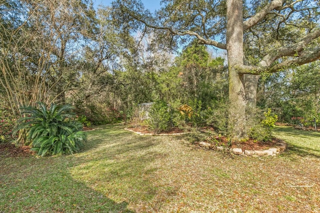 340 Palos Ct, Saint Augustine, FL 32086 - view of grassy yard