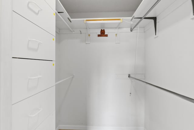 view of walk in closet