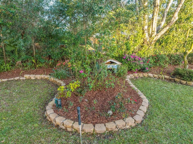 340 Palos Ct, Saint Augustine, FL 32086 - view of green lawn