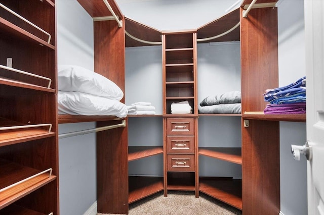 spacious closet featuring light carpet