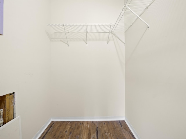 walk in closet with wood-type flooring