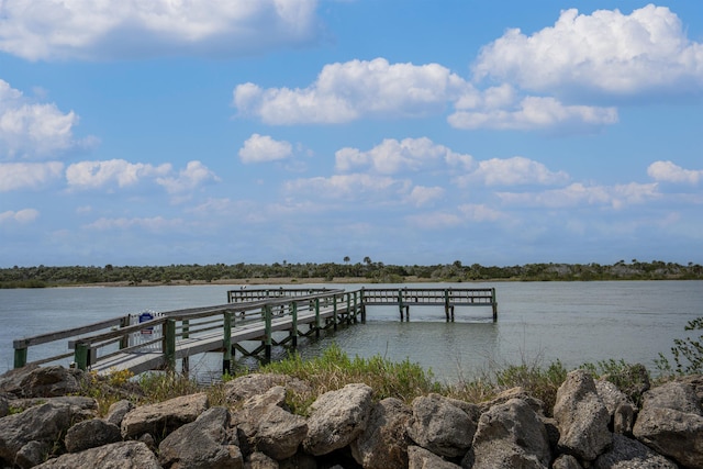 dock area featuring a water view