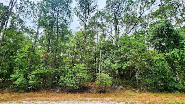 129 Hazel Ave, Georgetown FL, 32139 land for sale