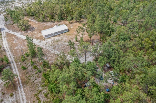 113 Blue Jay Trl, Palatka, FL 32177 - photo 54