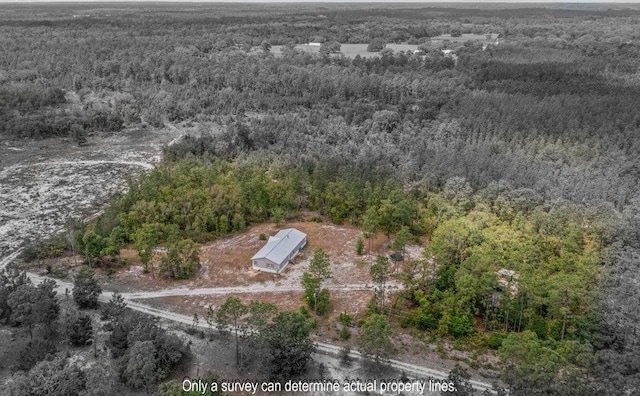 113 Blue Jay Trl, Palatka, FL 32177 - photo 57