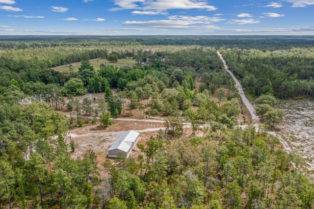 113 Blue Jay Trl, Palatka, FL 32177 - photo 50