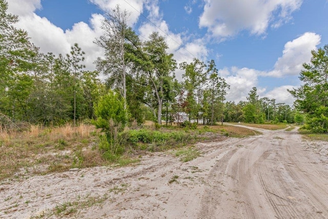113 Blue Jay Trl, Palatka, FL 32177 - photo 44