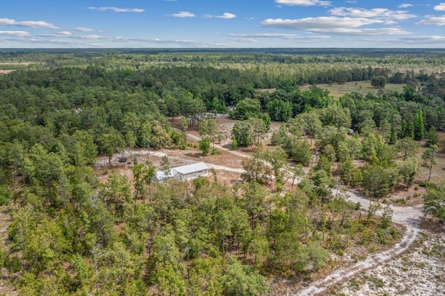 113 Blue Jay Trl, Palatka, FL 32177 - photo 49