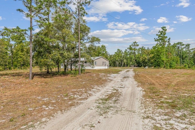 113 Blue Jay Trl, Palatka, FL 32177 - photo 4