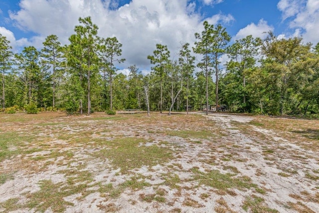 113 Blue Jay Trl, Palatka, FL 32177 - photo 8