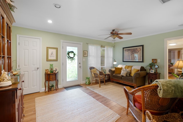 living room with ceiling fan, light wood-type flooring, and crown molding