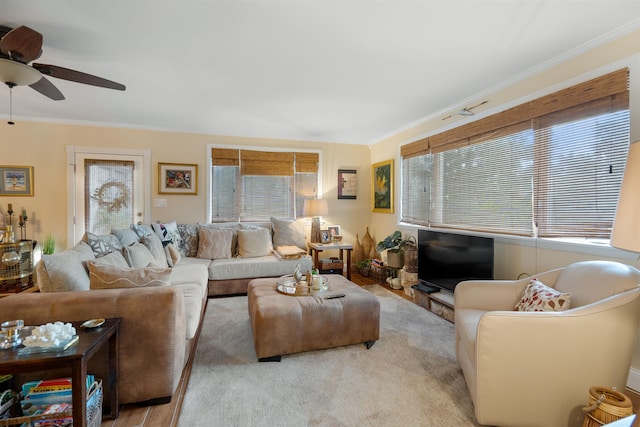 living room featuring plenty of natural light, ornamental molding, and ceiling fan