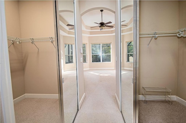 walk in closet with ceiling fan and light carpet