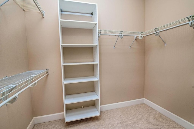 spacious closet featuring carpet floors