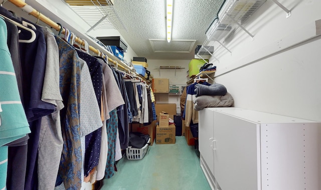 walk in closet with attic access and carpet flooring