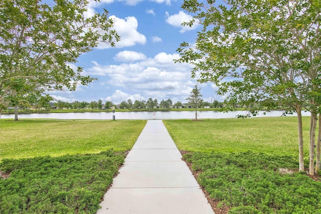 29 Turkey Trot Ct, Saint Augustine, FL 32095 - view of yard with a water view