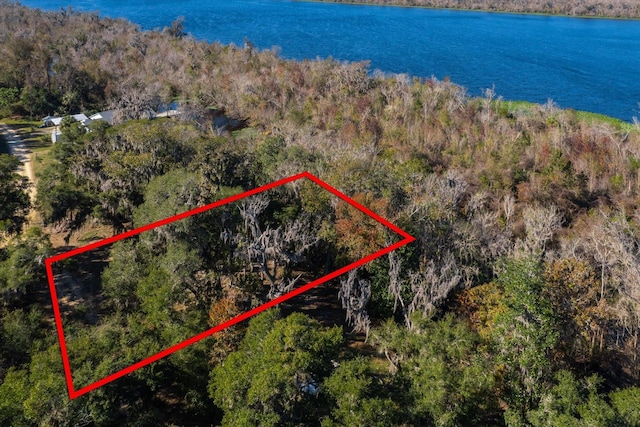 114 Ridgeline Ave, Satsuma, FL 32189 - photo 12