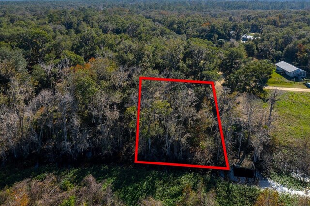 114 Ridgeline Ave, Satsuma, FL 32189 - photo 13