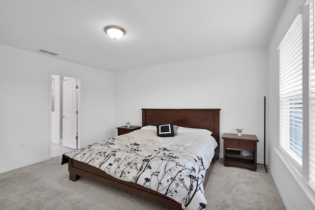 carpeted bedroom with a textured ceiling and multiple windows