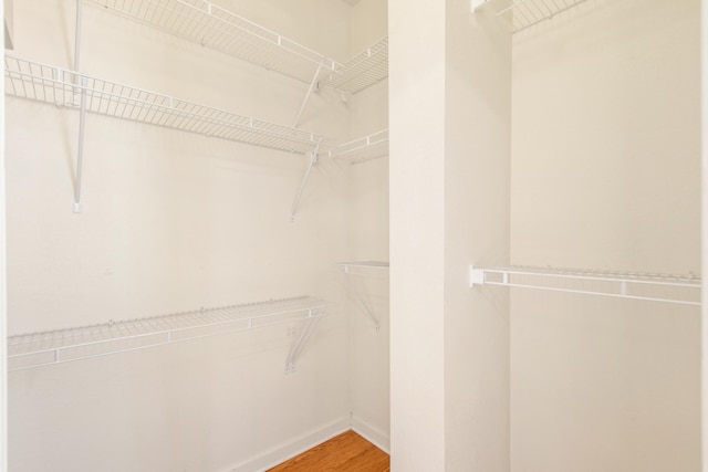 spacious closet with hardwood / wood-style flooring