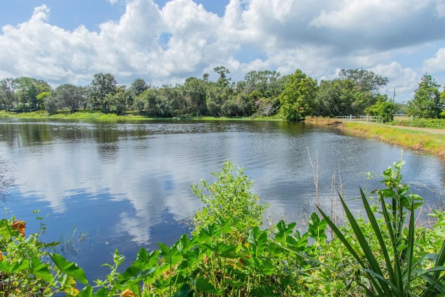 879 Palermo Rd, Saint Augustine, FL 32086 - photo 61