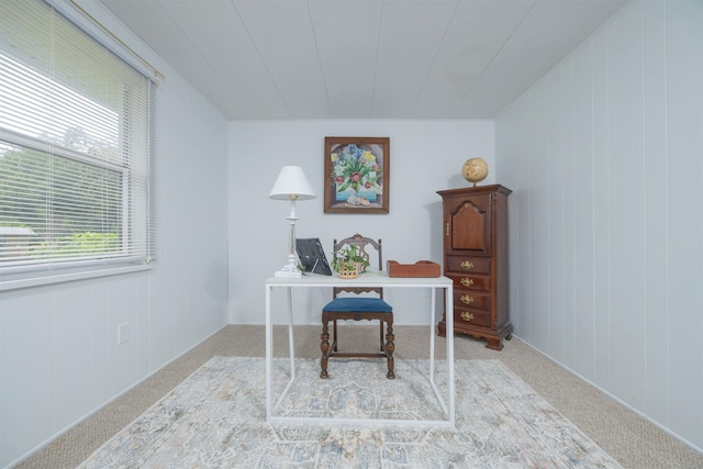 879 Palermo Rd, Saint Augustine, FL 32086 - photo 40